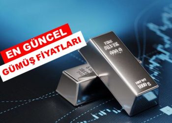 Anlık gümüş fiyatları