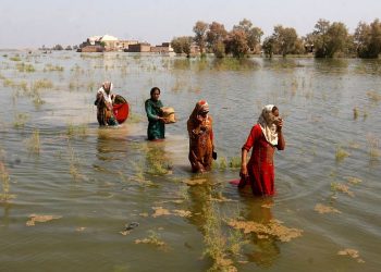 IPCC kanıtı: İşte iklim değişikliğinin ‘saatli bombasını’ nasıl etkisiz hale getirebileceğimiz