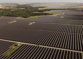 ABD’nin Temiz Enerji ve Teknolojiye Yaptığı Harcamalar Müttefik Yarışmaları Teşvik Ediyor