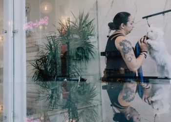 Amerika’nın En Yüksek Asgari Ücretinin Verildiği Yerde İş Yapmak