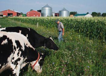 ABD’li Çiftçiler Tarife Tehditleri Arasında Yeni Trump Ticaret Savaşlarına Hazırlanıyor