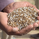 Bakan-Yumakli-Gubre-Stoklarimiz-Yeterli-Tarimsal-Uretim-Gucleniyor-featured