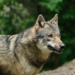 CHP-Lideri-Ozel8217e-Kazim-Kurt8217un-Tepebasi-Kitabi-Sunuldu-featured