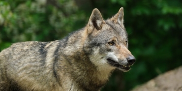 CHP-Lideri-Ozel8217e-Kazim-Kurt8217un-Tepebasi-Kitabi-Sunuldu-featured