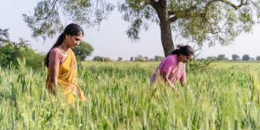 KSO-Destegiyle-Kadin-Ciftciler-Surdurulebilir-Tarima-Odaklandi-featured