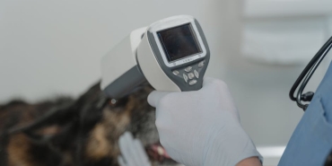 Veteriner-biyolojik-urunler-ile-hayvan-tanimlama-araclari-bedelleriyle-ilgili-karar-Resmi-Gazete039de-featured